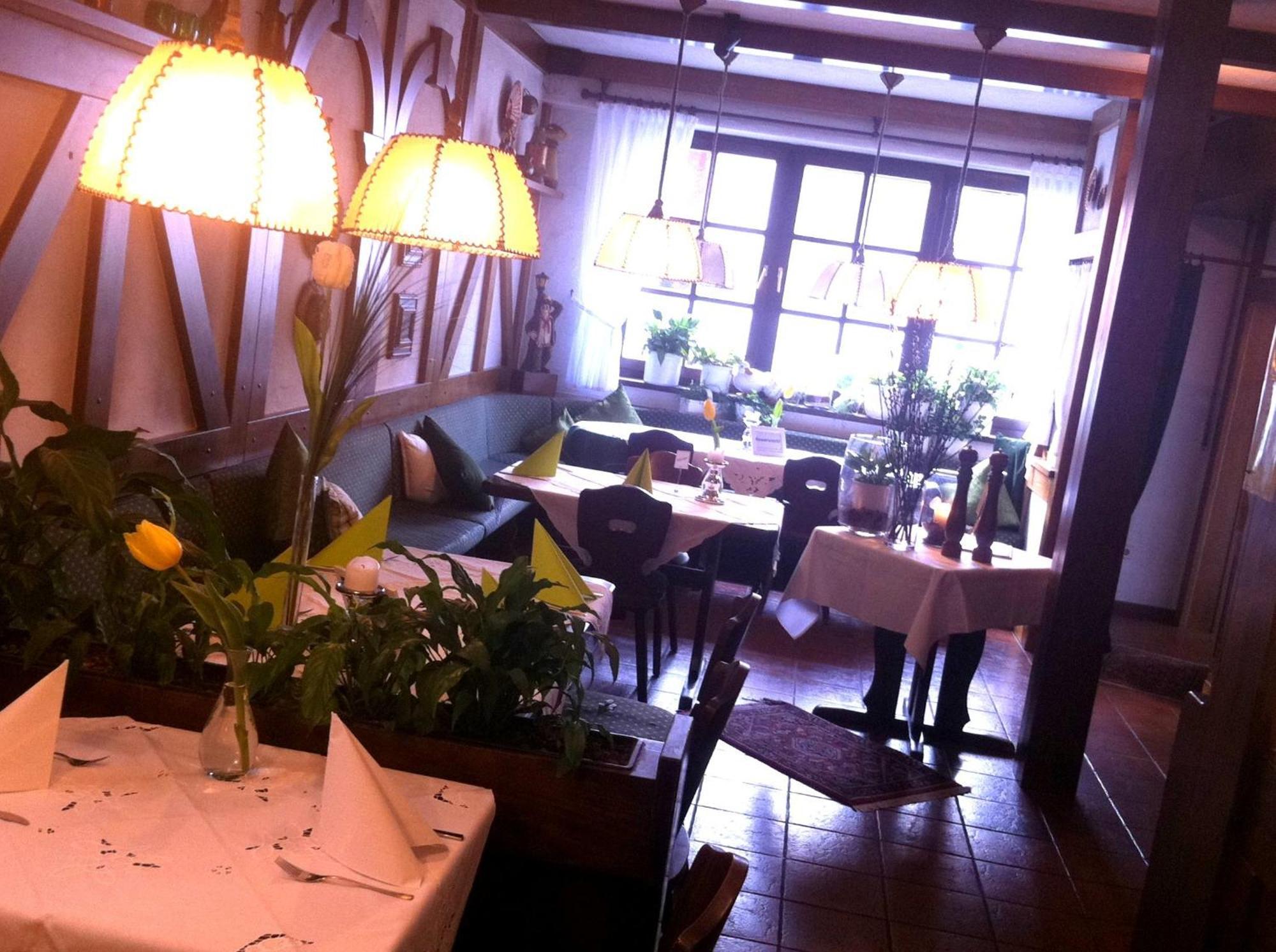 Hotel Und Restaurant -Gasthaus Zur Pfalz Хоккенхайм Экстерьер фото